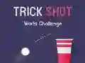 Spil Trick Shot Verdens Udfordring online Spil Trick Shot Verdens Udfordring online