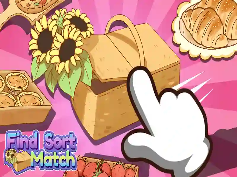 Spil Find Sort Match online