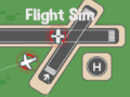 Spil Flysimulator online