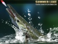 Spil Sommer Sø online