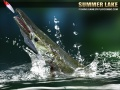 Spil Sommer Sø 1.5 online