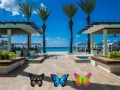 Spil Find 100 sommerfugle online
