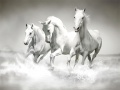 Spil Heste Puzzle online