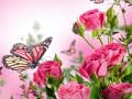 Spil Sommerfuglepuzzle online