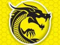 Spil Kung Fu Raseri online