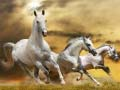 Spil Løbende Hest Rutsje online