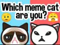 Spil Hvilken meme kat er du? online