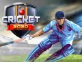 Spil Cricket 2020 online