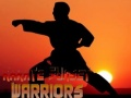 Spil Karate Solnedgang Krigere online