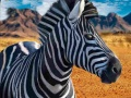 Spil Zebra jæger online