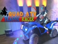 Spil Quad ATV Trafik Racer online