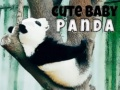 Spil Sød baby panda online