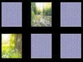 Spil Natur Hukommelse online