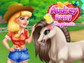 Spil Audrey Pony Dagpleje online