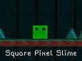 Spil Firkantet Pixel Slim online