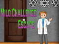 Spil Amgel Mild Challenge Escape online