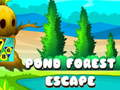Spil Pond Forest Escape online