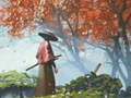 Spil Samurai Refleksion online
