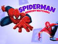 Spil Spiderman Hukommelsespil online