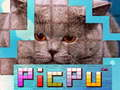 Spil PicPu Kat online