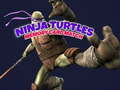 Spil Ninja Skildpadder Hukommelseskort Match online