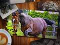 Spil Jigsaw Puzzle Heste Udgave online