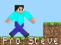 Spil Pro Steve online