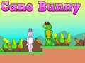 Spil Cano Kanin online