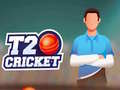 Spil T20 Cricket online