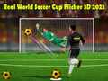 Spil Egte Verdensmesterskab i Fodbold Flicker 3D 2023 online