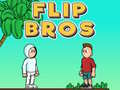 Spil Flip Brødre online