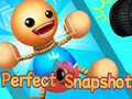 Spil Perfekt Snapshot online