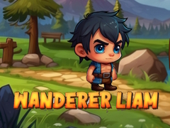 Spil Vandreren Liam online