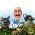 Vidunderlig have Vidunderlig have online