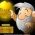 guldgraver  online
