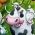 Landmand Landmand online